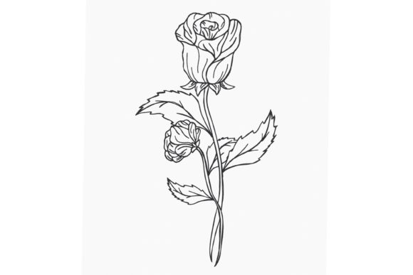 A Red Rose Embroidery: A Designer’s Honest Review