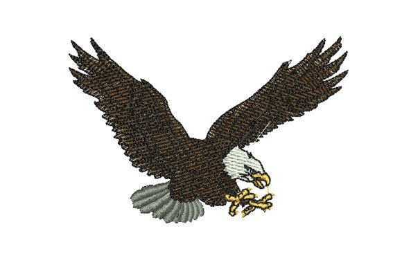 Eagle Swooping Prey: A Designer’s Review